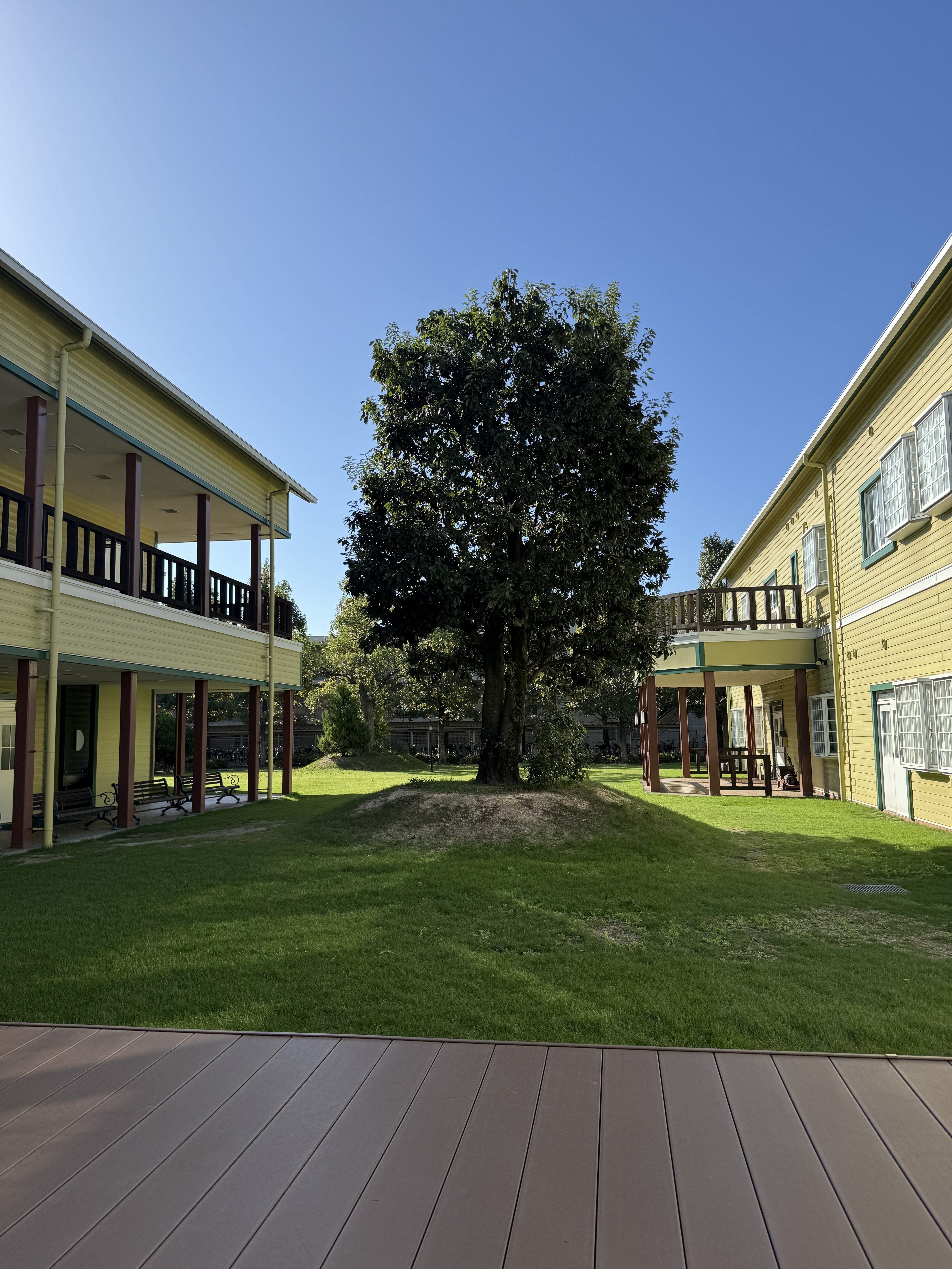 岡山医療専門学校　講師